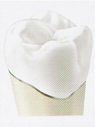 photo of a dental crown